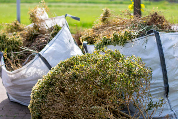 Best Junk Hauling Services  in Hayfield, MN